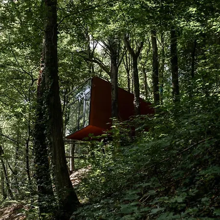 Lodge Olivine 12